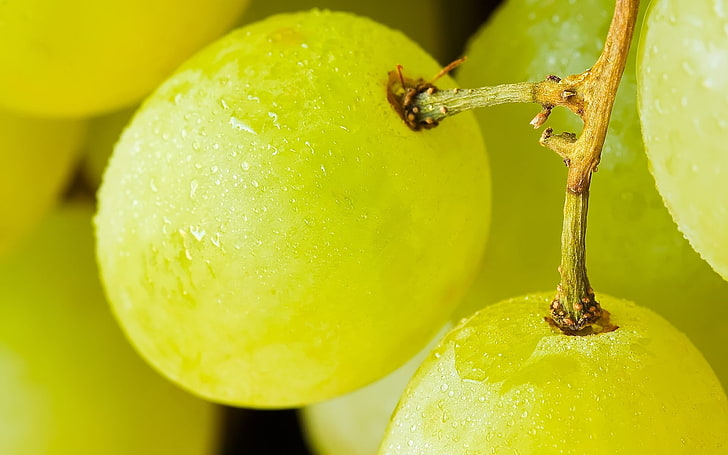fruit, grapes, macro, water drops, close-up, green color, food and drink, HD wallpaper