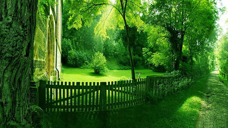 path, walking path, green, sun, summer, summer sun, nature, HD wallpaper