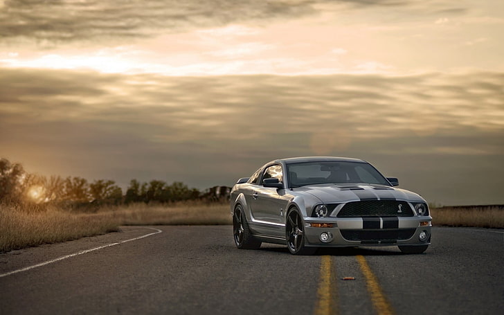 Hd Wallpaper Silver Ford Mustang Gt500 Coupe Shelby Muscle Car Road Sunset Wallpaper Flare