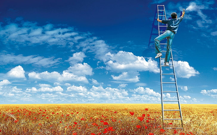 gray steel ladder, sky, clouds, field, flowers, ladders, men, HD wallpaper