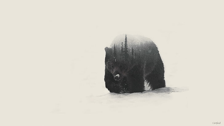 black bear digital wallpaper, double exposure, bears, animal themes