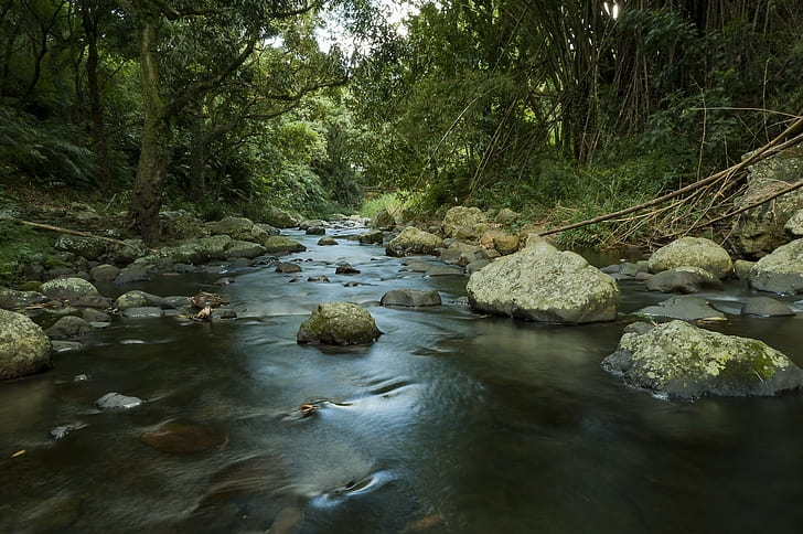 swamp with brown rocks photography, Cascade, Délices, Ile de la Reunion, HD wallpaper