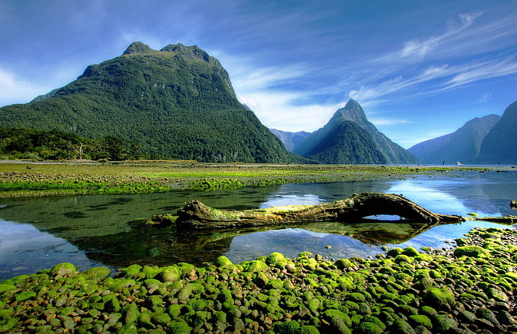 landscape, photography, nature, mountains, moss, Milford Sound