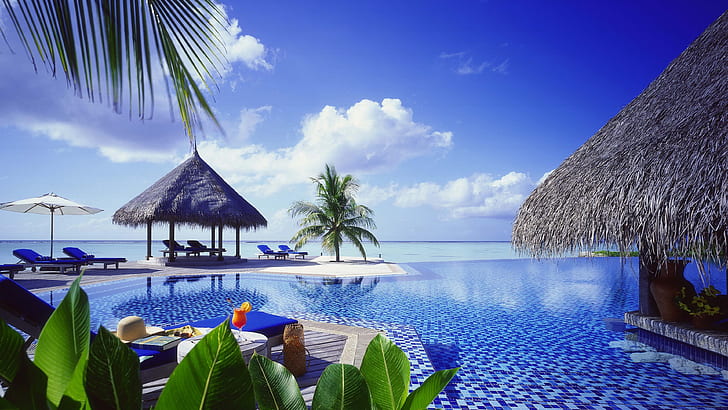 Resort, sea, palm trees, pool, HD wallpaper
