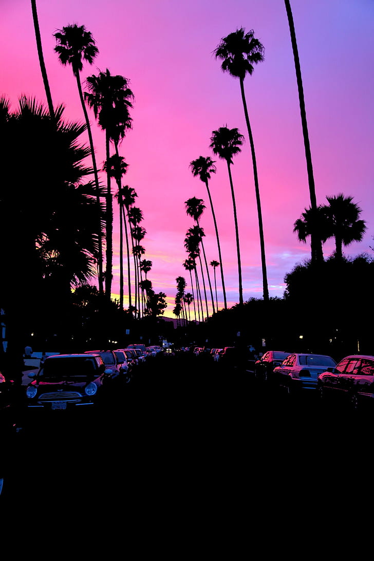 HD wallpaper: sunset, palm trees, road, car, California, dark