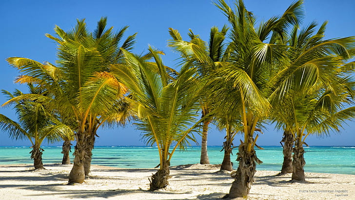 Punta Cana, Dominican Republic, Beaches, HD wallpaper