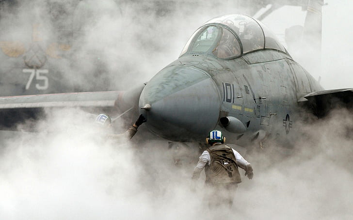 military aircraft, jet fighter, Grumman F-14 Tomcat