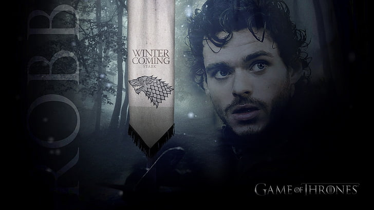 Game of Thrones Winter is Coming digital wallpaper, Robb Stark, HD wallpaper