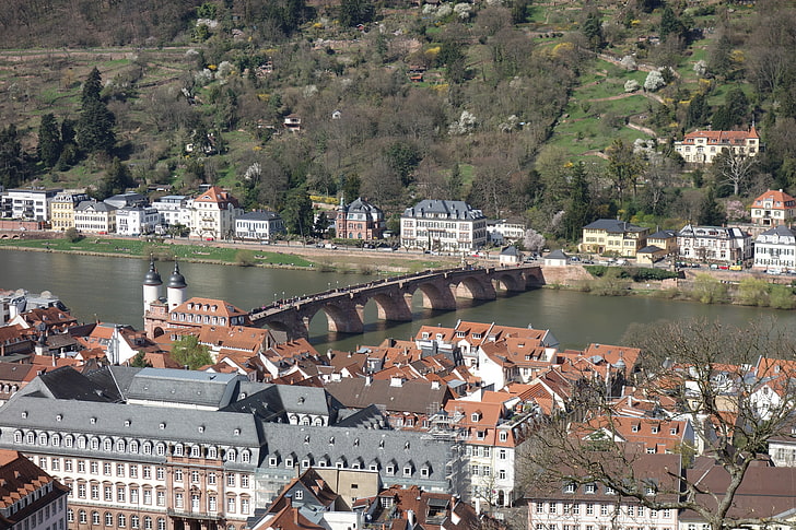 Home, Germany, Panorama, Roof, Building, Bridge, River, Heidelberg