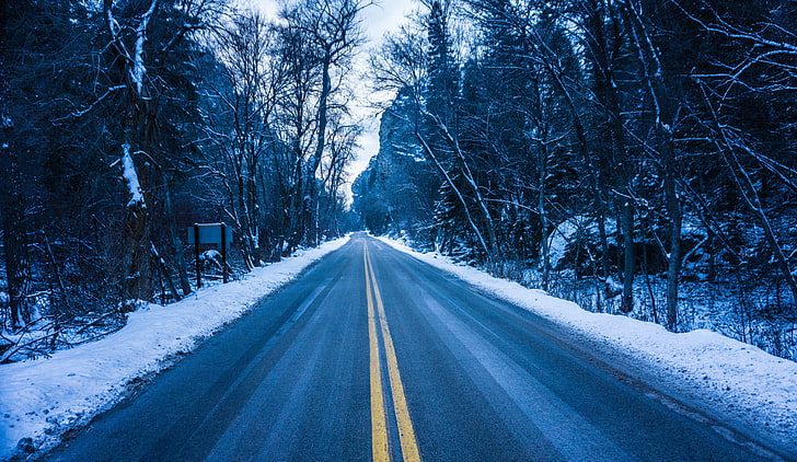 nature, trees, road, transportation, snow, the way forward, HD wallpaper