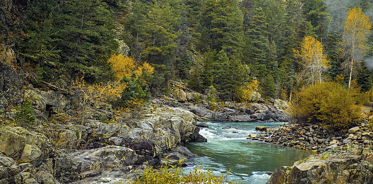 green trees near body of water at daytime, colorado, animas river, colorado, animas river