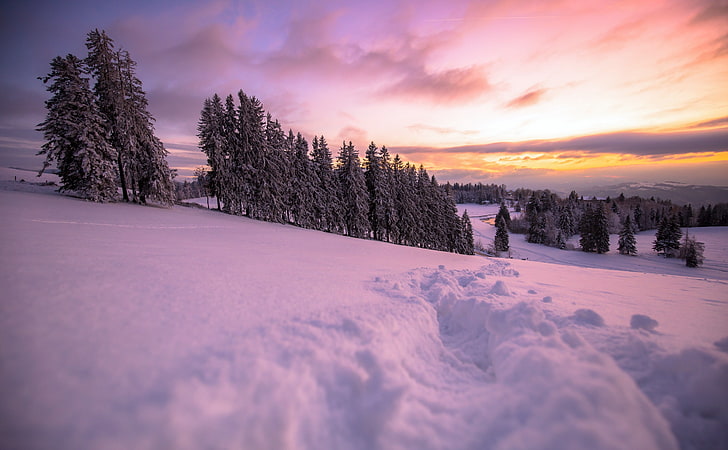winter, sky, nature, landscape, trees, snow, cold temperature, HD wallpaper