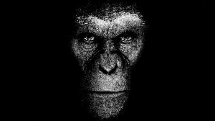 grayscale photo of ape, Planet of the Apes, movies, artwork, science fiction