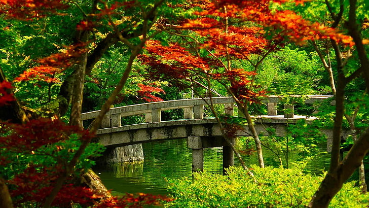 Kyoto Botanical Garden 1080p 2k 4k 5k Hd Wallpapers Free Download Wallpaper Flare