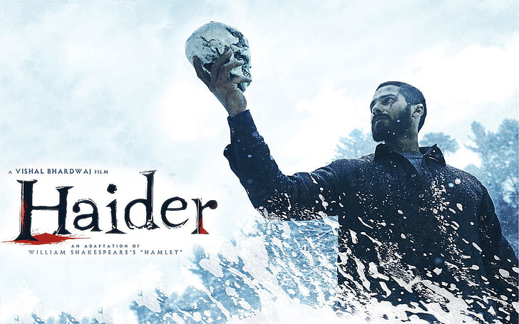 Haider 2014, Haider movie poster, Movies, Bollywood Movies, shahid kapoor, HD wallpaper