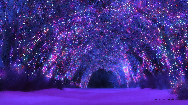 Hd Wallpaper Download Nature Pack 2560x1440 Night Beauty In Nature Cold Temperature Wallpaper Flare