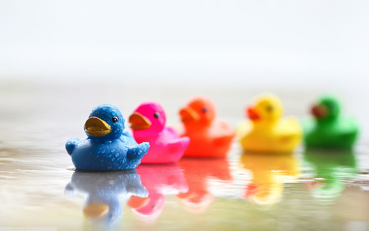 Colourful Ducks, yellow, blue, green, rubber, pink, 3d and abstract, HD wallpaper