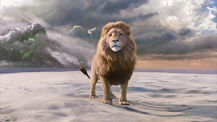 movies The Chronicles of Narnia HD Wallpapers  Desktop and Mobile Images   Photos