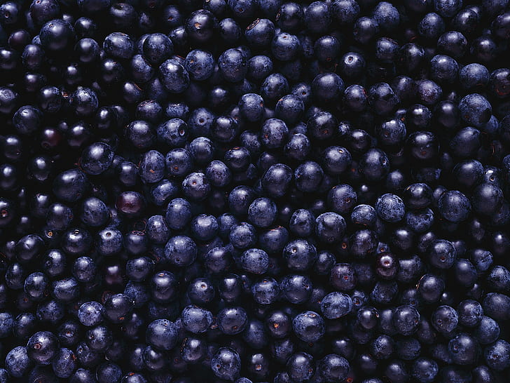 berries, fruit, blueberries, food, HD wallpaper