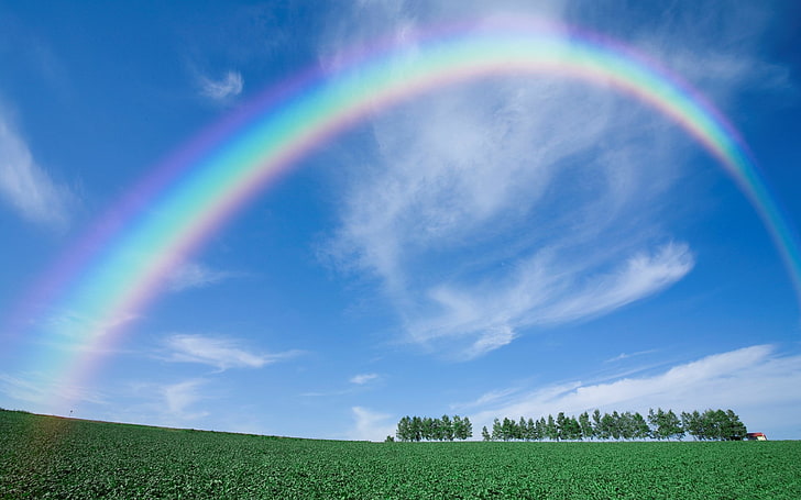 cool pics of nature hd background 1920x1200, sky, rainbow, beauty in nature, HD wallpaper