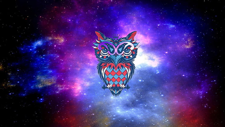 galaxy owl wallpaper, drawing, no people, art and craft, multi colored, HD wallpaper