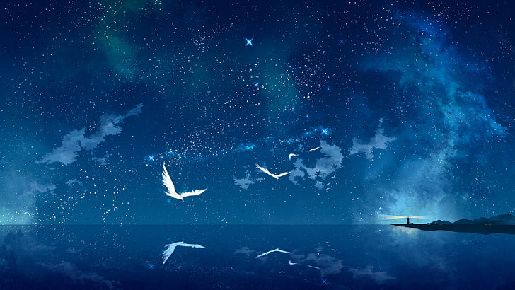 birds near sea digital wallpaper, sea anemones, anime, sky, stars