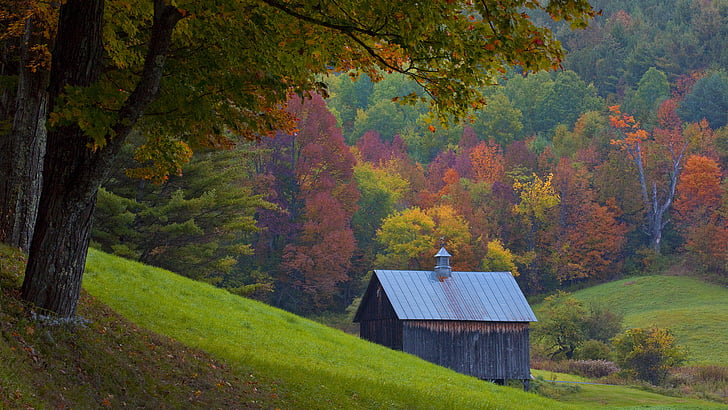 autumn, vermont, HD wallpaper