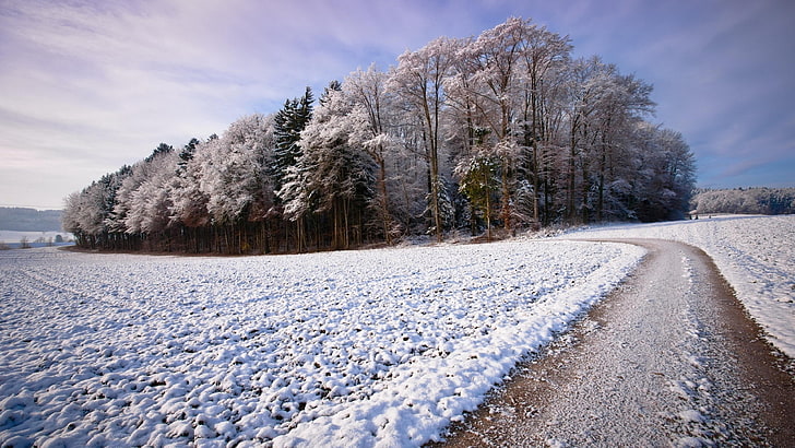 winter, hoarfrost, rime, pathway, snow, landscape, road, bend, HD wallpaper