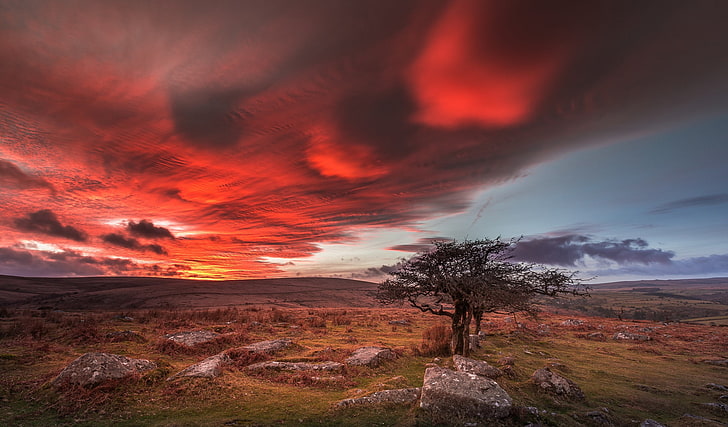 England, Dartmoor National Park, HD wallpaper
