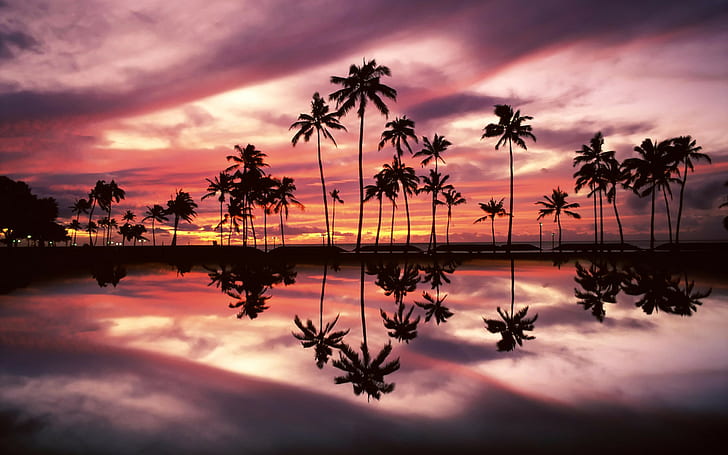 Hawaii Sunset, hawaiian, honolulu, 1920x1200, HD wallpaper