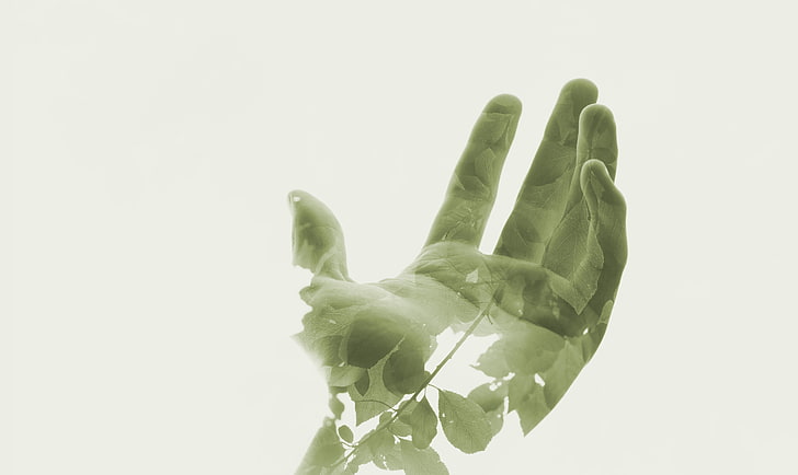 person's palm clip art, hands, double exposure, leaves, human Hand, HD wallpaper