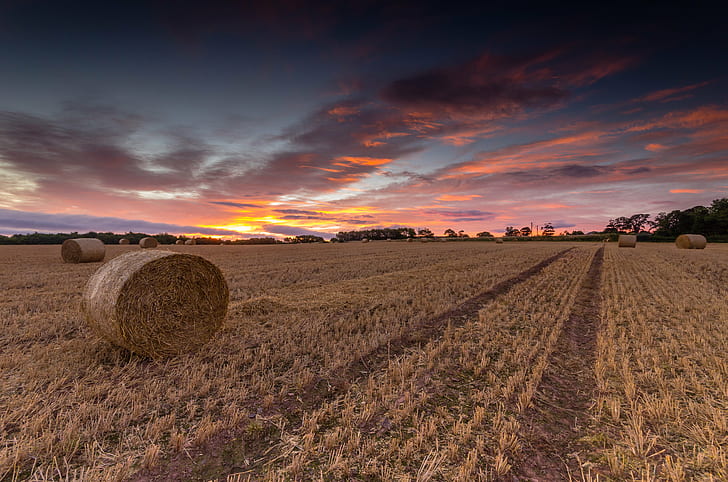 rolled hay during golden hour, Time of the Season, Nikon, Scotland, HD wallpaper