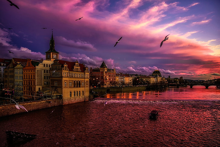 city, cityscape, lights, evening, Prague, Czech Republic, river