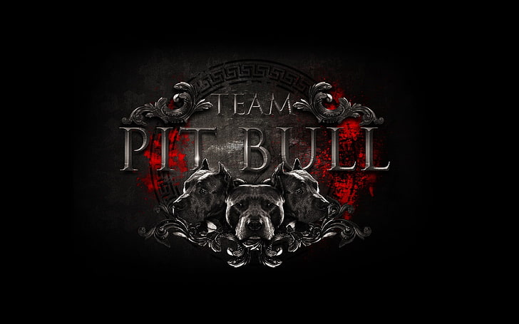 Team Pit Bull wallpaper, logo, fight club, mma, mixed martial arts, HD wallpaper