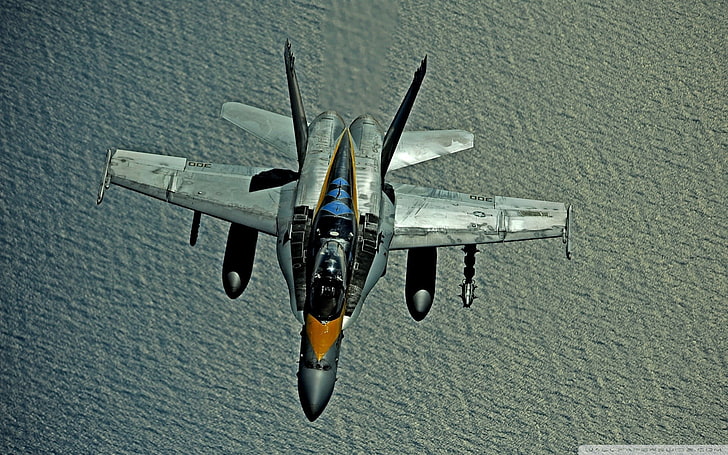 gray fighter jet illustration, warplanes, F/A-18 Hornet, aircraft, HD wallpaper