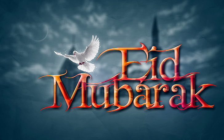 Dove And Eid Mubarak, Eid Mubarak illustration, Festivals / Holidays