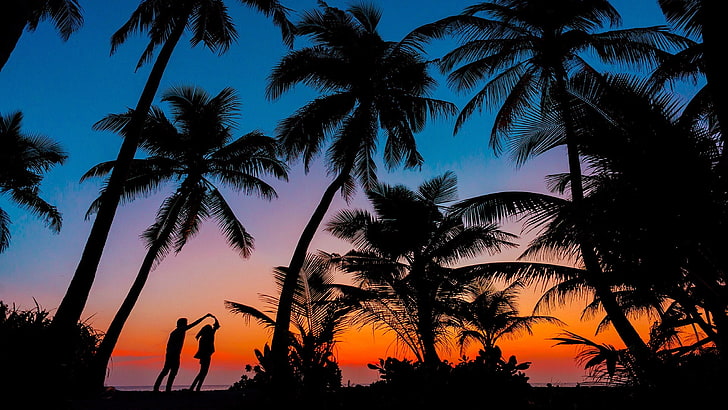 palm tree, silhouette, romantic, couple, romance, sunset, tropics, HD wallpaper
