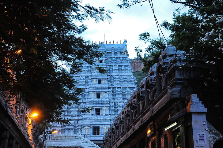 temple of thirupathi my lucky snap, architecture, built structure, HD wallpaper