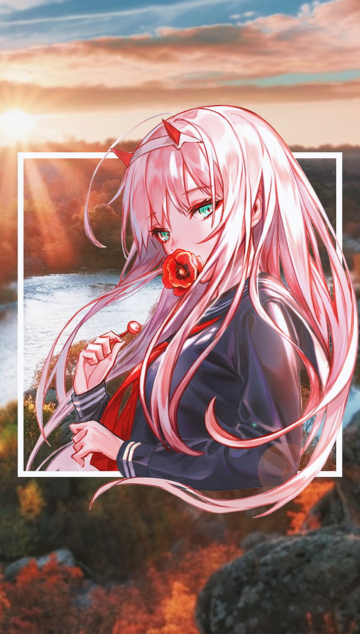 Hd Wallpaper Anime Anime Girls Picture In Picture Zero Two
