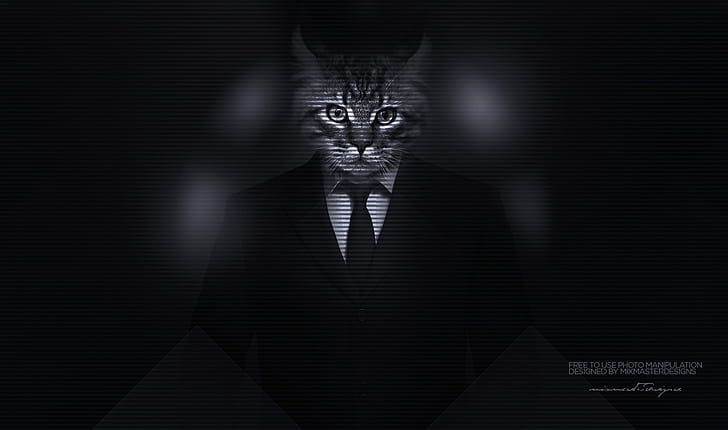 kitty men classy cat big cats majestic casual channel photo manipulation suits, HD wallpaper