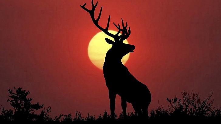 silhouette of deer under full moon, animals, nature, elk, Sun, HD wallpaper