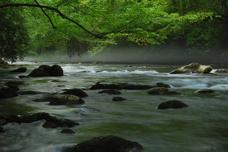 rocks by the river in the middle of a forest, Mountain Stream, HD wallpaper