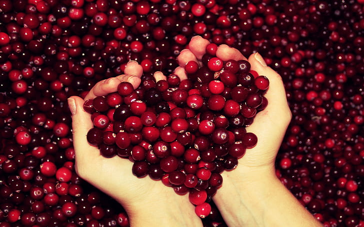 fruit, cranberries, red, hands, fingers