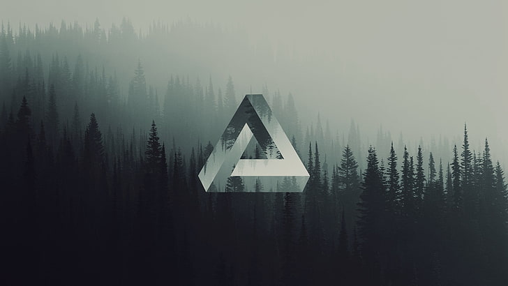 pine trees, triangle, geometry, forest, Penrose triangle, fog