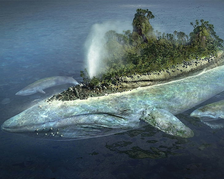 whale, island, animals, sea, digital art, fantasy art, HD wallpaper