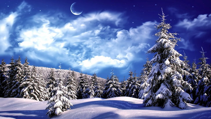 pine tree, moonlit, moonlight, snowy, stars, night, night sky, HD wallpaper