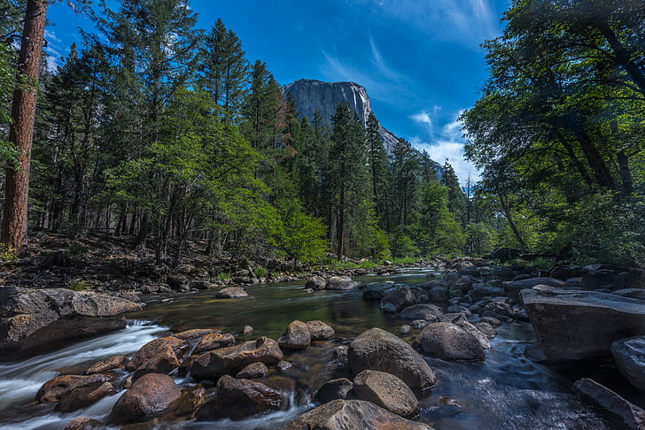 green forest during day time, merced river, el capitan, yosemite national park, california, merced river, el capitan, yosemite national park, california, HD wallpaper