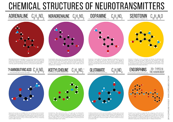 chemical structures of neurotransmitters diagram, science, chemistry, HD wallpaper