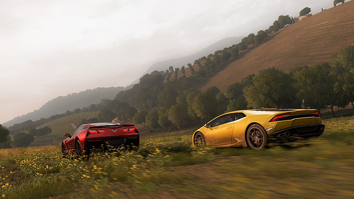 two red and yellow supercars digital wallpaper, Forza Horizon 2