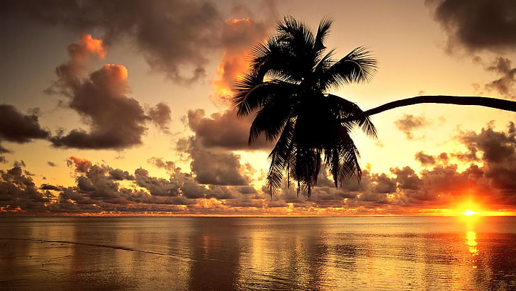 Hawaii, beach, sunset, landscape, clouds, sea, nature, photography